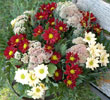 bouquet de fleur